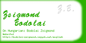 zsigmond bodolai business card